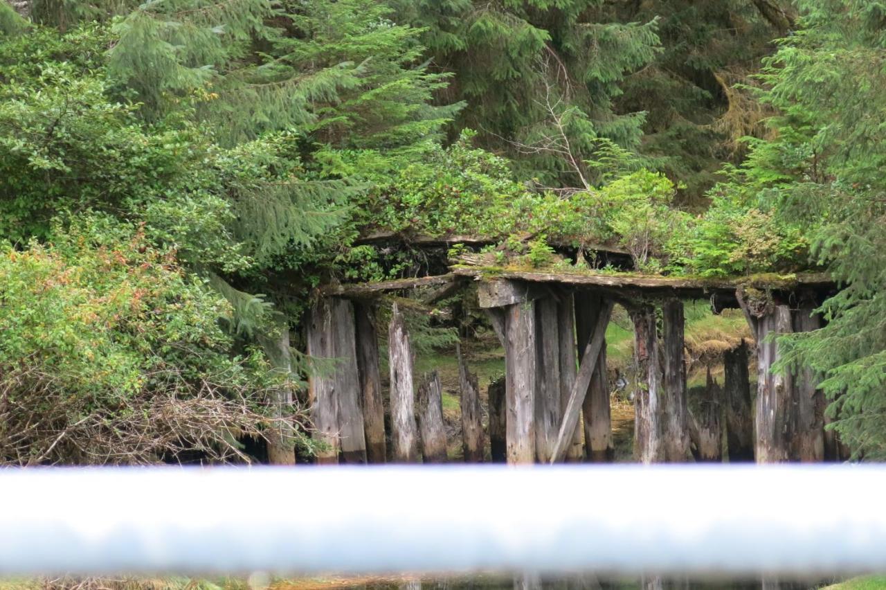 A Shack In The Woods Villa Port Renfrew Bagian luar foto