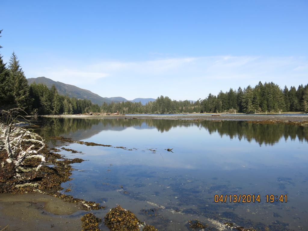 A Shack In The Woods Villa Port Renfrew Ruang foto