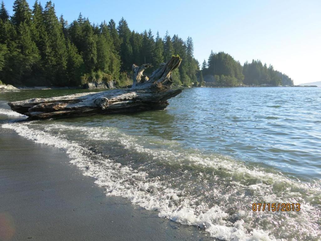 A Shack In The Woods Villa Port Renfrew Bagian luar foto