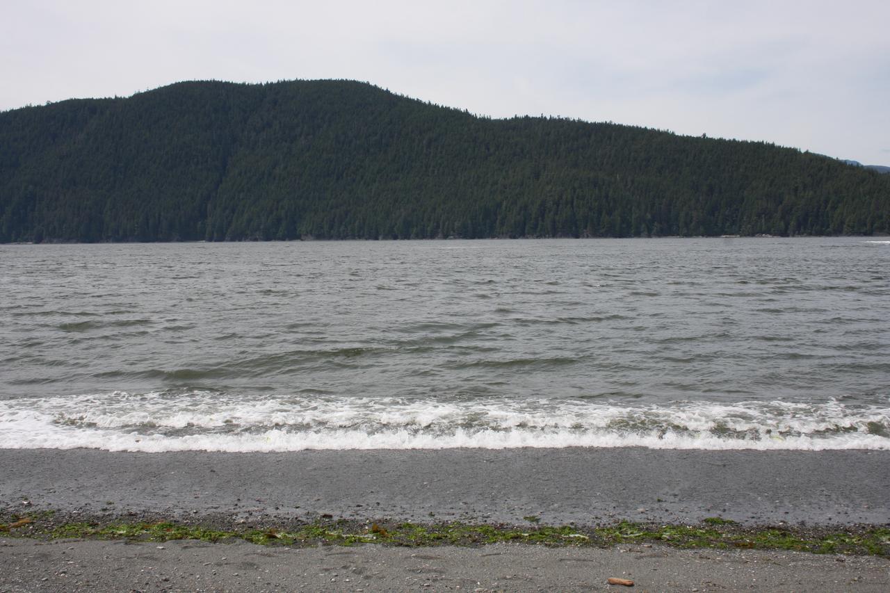 A Shack In The Woods Villa Port Renfrew Bagian luar foto