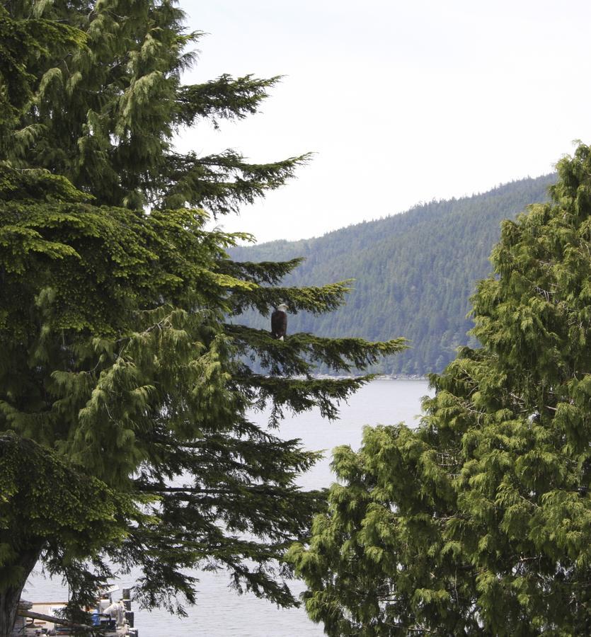 A Shack In The Woods Villa Port Renfrew Bagian luar foto